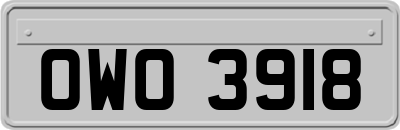 OWO3918