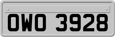 OWO3928