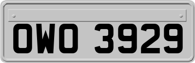 OWO3929