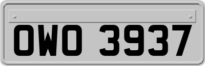 OWO3937