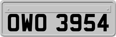 OWO3954