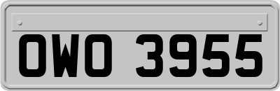 OWO3955