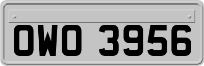 OWO3956