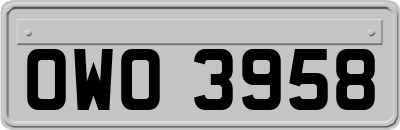 OWO3958