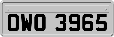 OWO3965