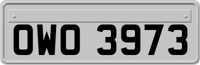 OWO3973