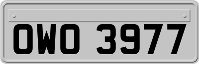 OWO3977