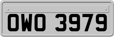 OWO3979
