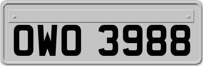 OWO3988