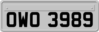 OWO3989