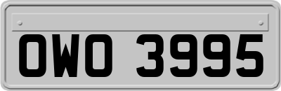 OWO3995