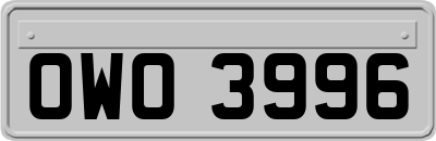 OWO3996