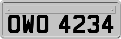 OWO4234