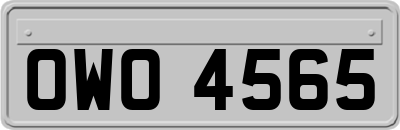 OWO4565