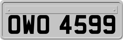 OWO4599