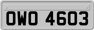 OWO4603