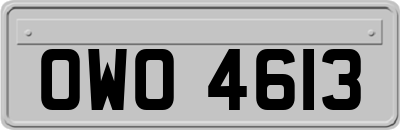 OWO4613