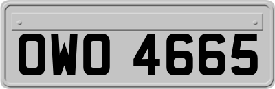 OWO4665