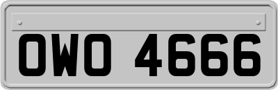OWO4666