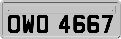 OWO4667