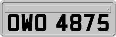 OWO4875
