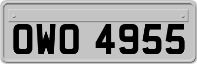 OWO4955