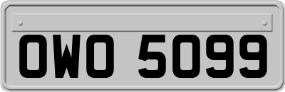 OWO5099