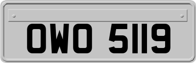 OWO5119