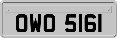 OWO5161