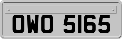 OWO5165