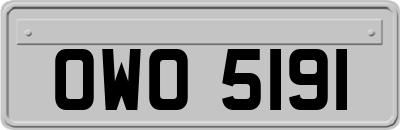 OWO5191
