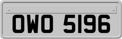 OWO5196