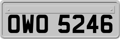 OWO5246
