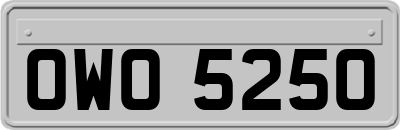 OWO5250