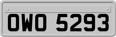 OWO5293