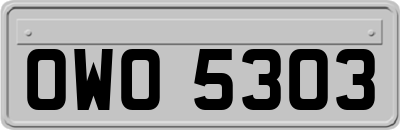 OWO5303