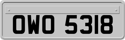 OWO5318