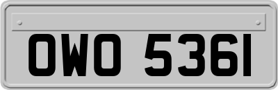 OWO5361