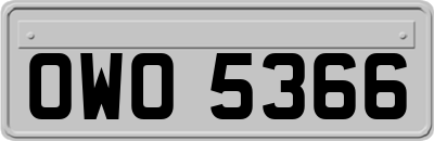 OWO5366
