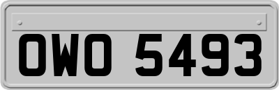 OWO5493