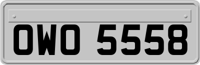 OWO5558