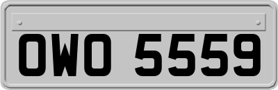 OWO5559