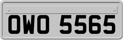 OWO5565
