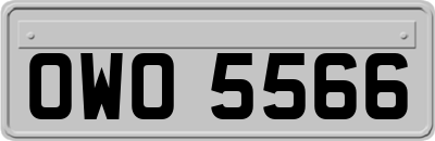 OWO5566