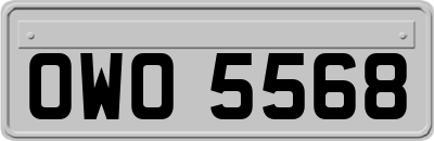 OWO5568