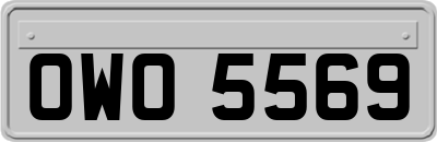 OWO5569