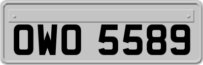 OWO5589