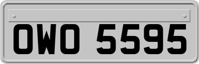 OWO5595