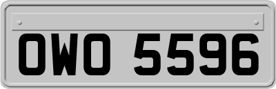 OWO5596