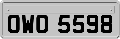 OWO5598